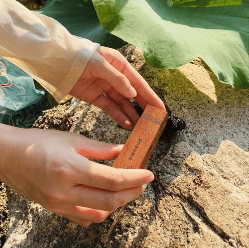 廣州軟件學院致2021屆畢業生 一份承載時光與未來的專屬禮物，請查收